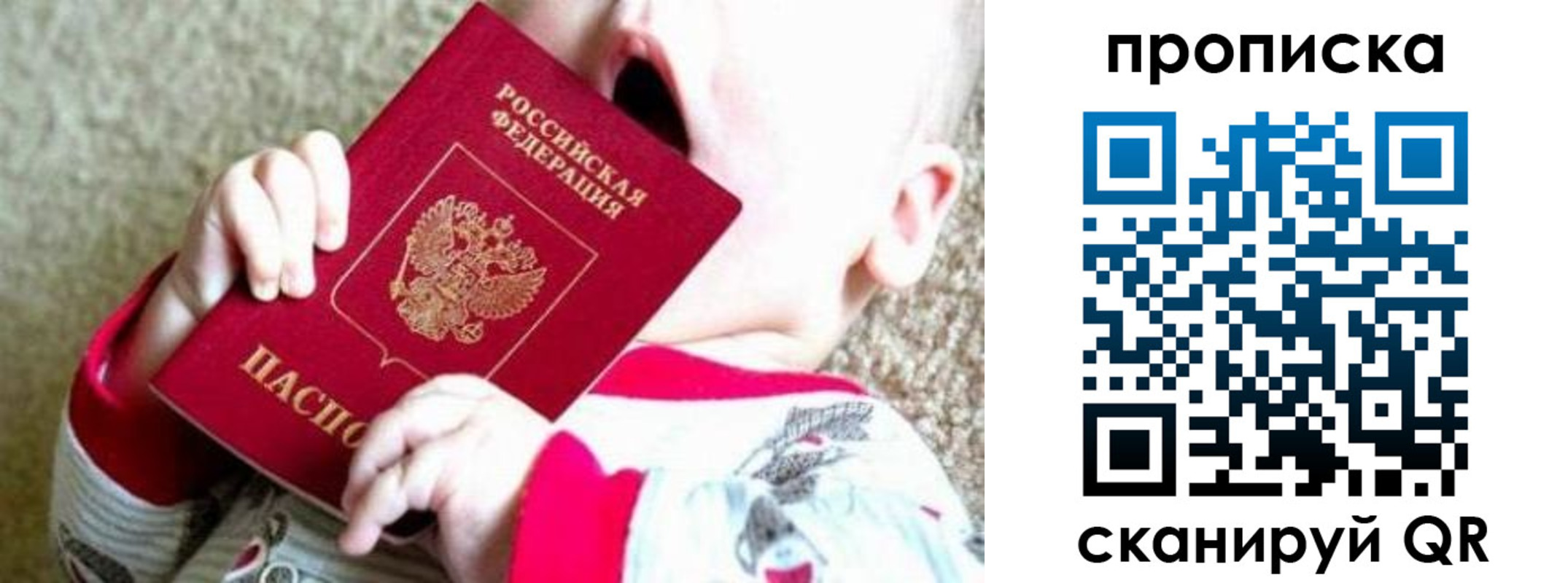 прописка законно в Светлогорске